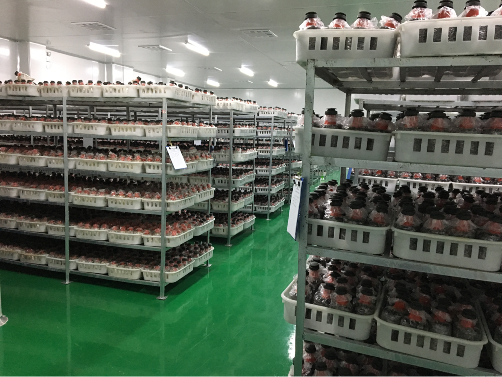 J9集团直营·(中国)官方网站